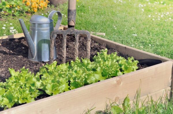 Comment Bien Pailler Son Potager Les Compagnons Des Saisons comment-bien-pailler-son-potager-les-compagnons-des-saisons